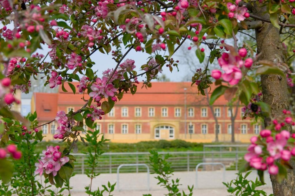 Hotel Vierseithof Luckenwalde Esterno foto